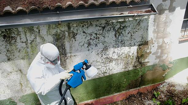 Trusted Basement Mold Remediation service in Julian, PA - Cheap Mold Removal